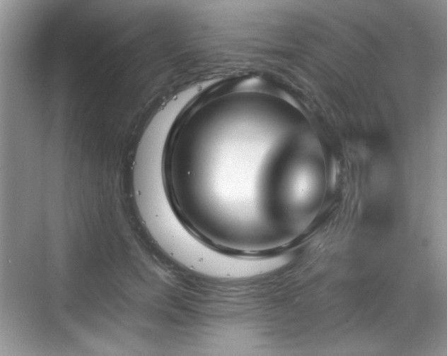 X0000068810750200605081119