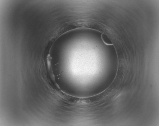 X0000068810751200605081119