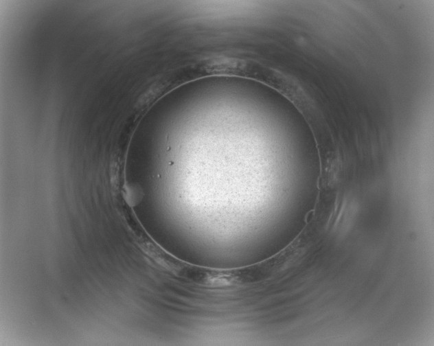 X0000068810753200605081119