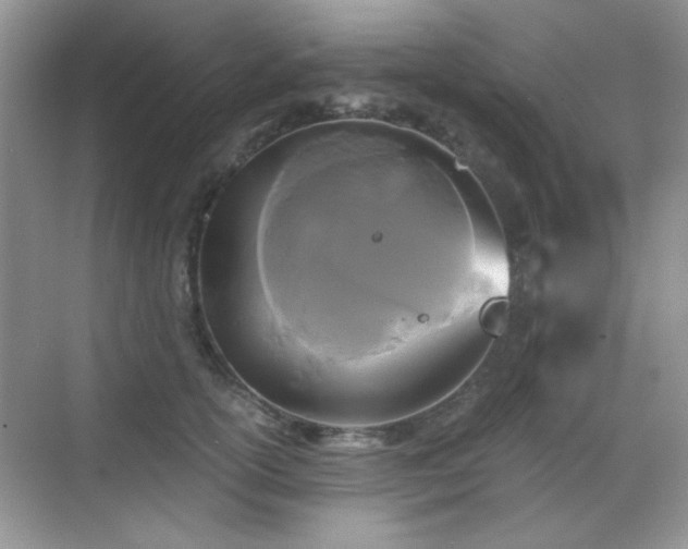 X0000068810754200605081119