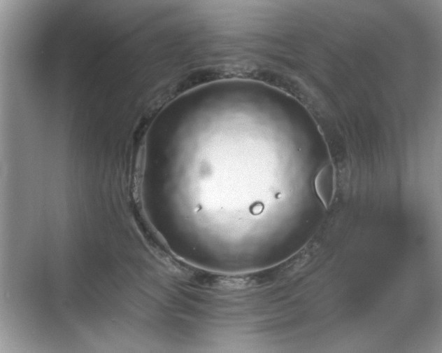 X0000068810757200605081119