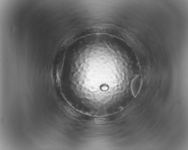 X0000068810758200605081119