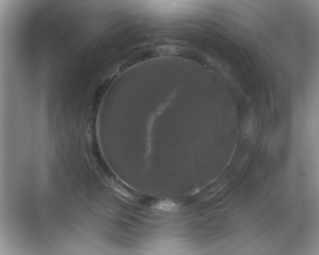 X0000068810759200605081119