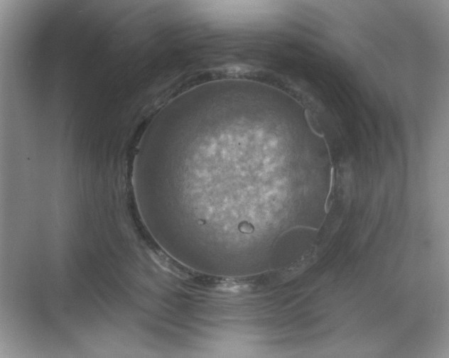 X0000068810760200605081119