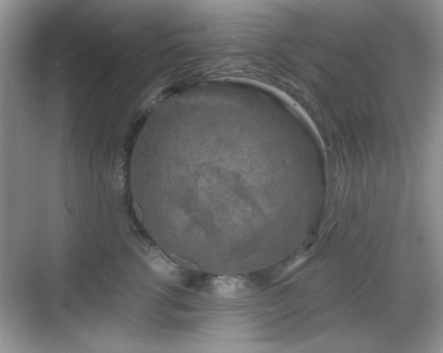 X0000068810762200605081119