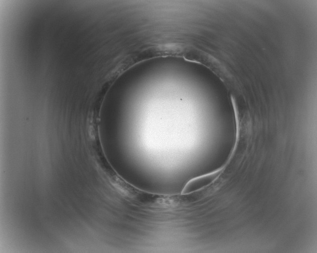 X0000068810764200605081119