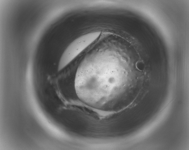 X0000068810765200605081119