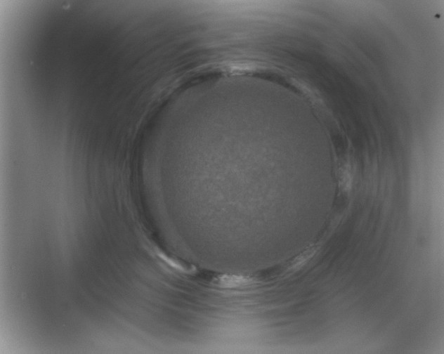 X0000068810766200605081119