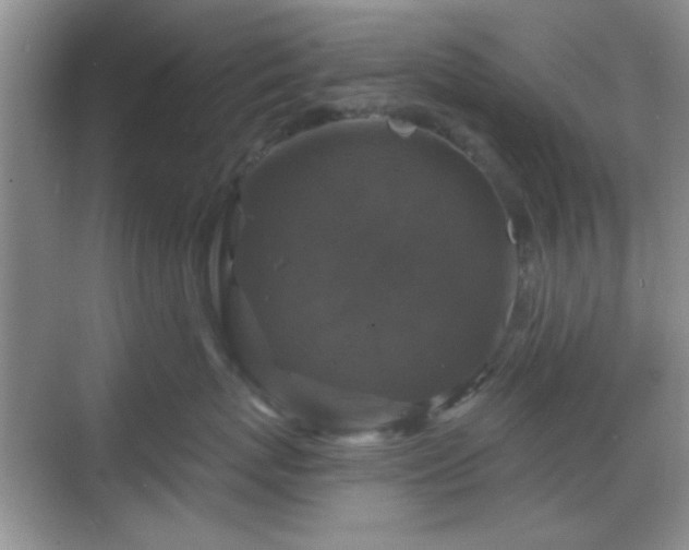 X0000068810767200605081119