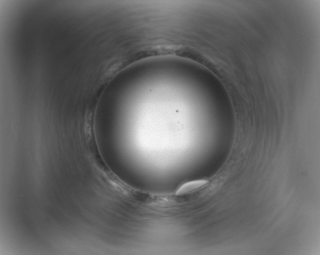 X0000068810768200605081119