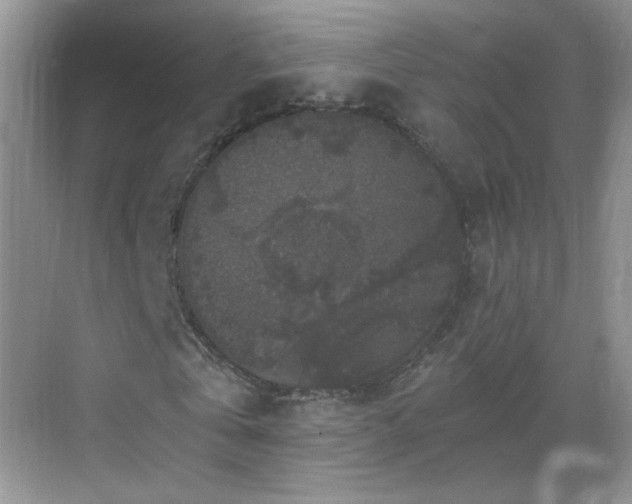 X0000068810769200605081118