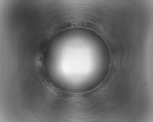 X0000068810770200605081118