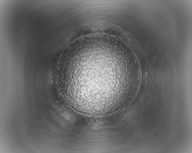 X0000068810772200605081118