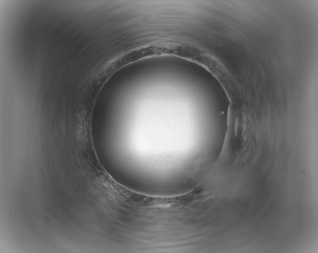 X0000068810773200605081118