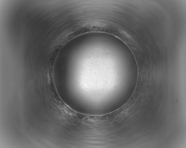 X0000068810774200605081118