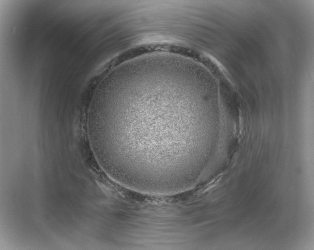 X0000068810775200605081118