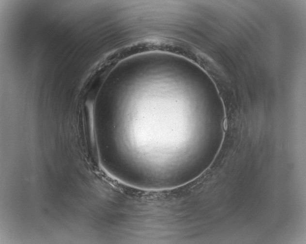 X0000068810776200605081118