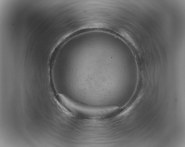 X0000068810781200605081118