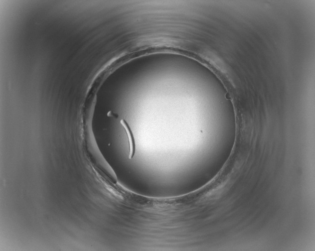 X0000068810782200605081118