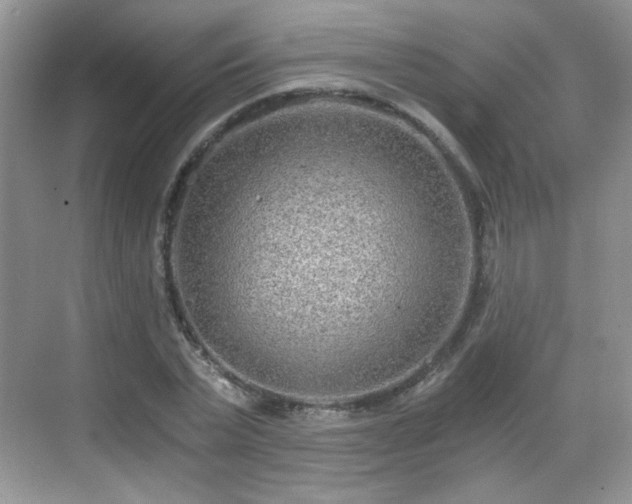 X0000068810783200605081118