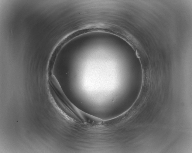 X0000068810784200605081118