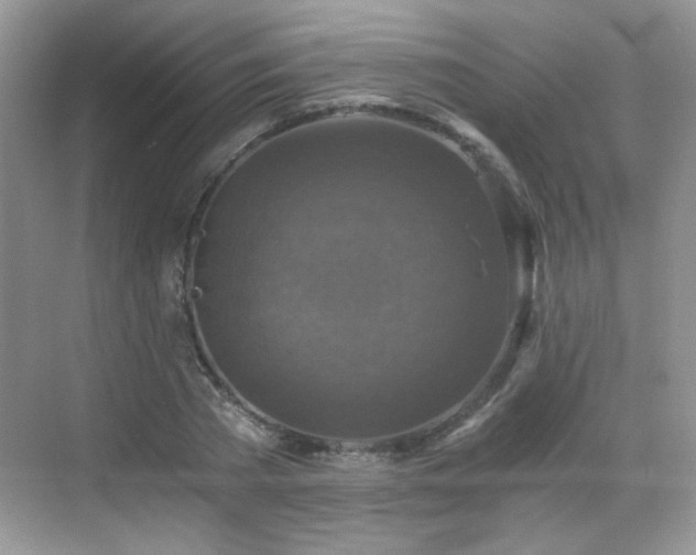 X0000068810785200605081118