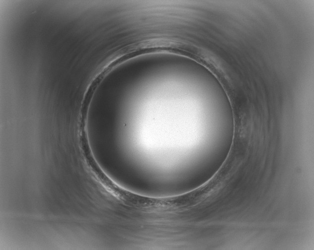 X0000068810786200605081118