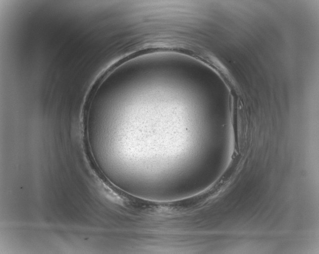 X0000068810787200605081118