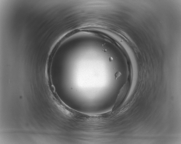 X0000068810788200605081118