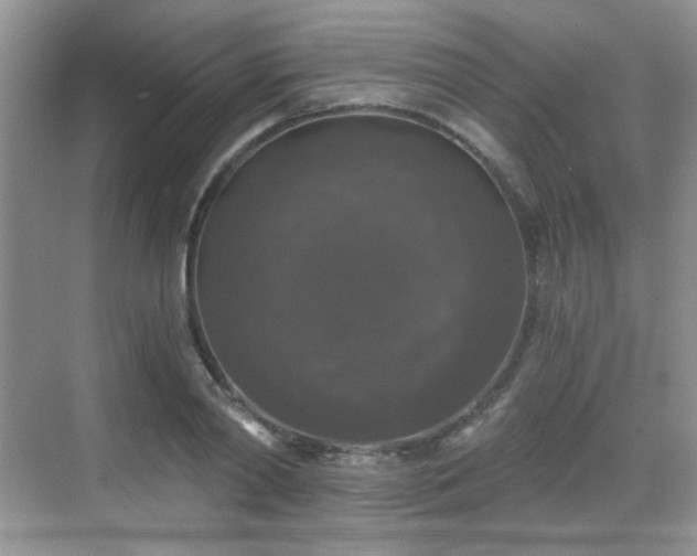 X0000068810790200605081118