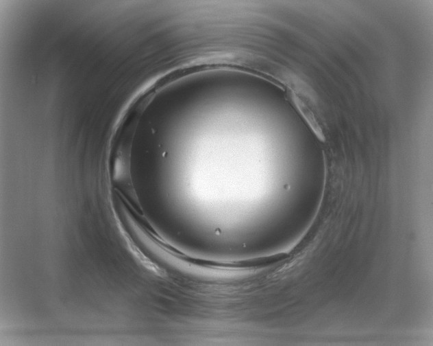 X0000068810792200605081118