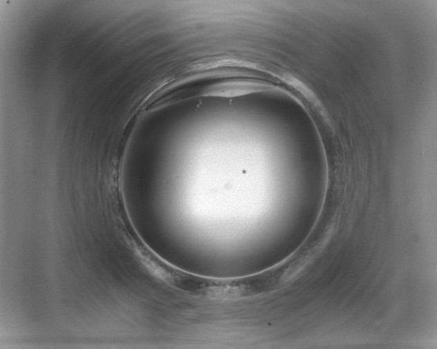 X0000068810793200605081118