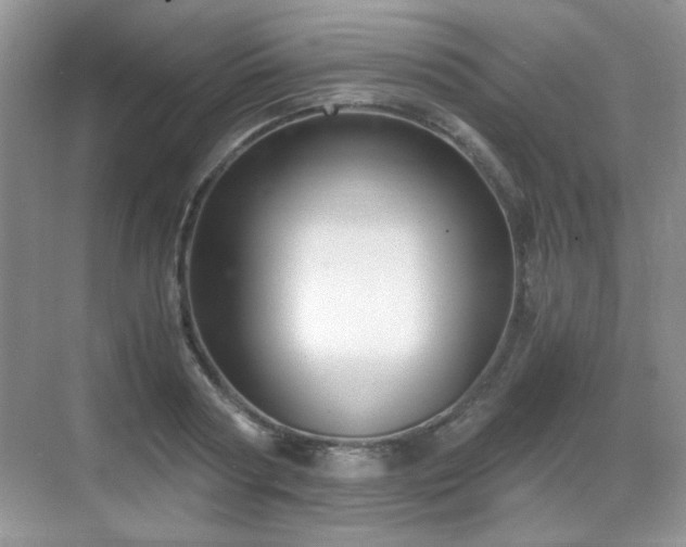 X0000068810794200605081118