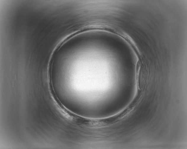 X0000068810795200605081118