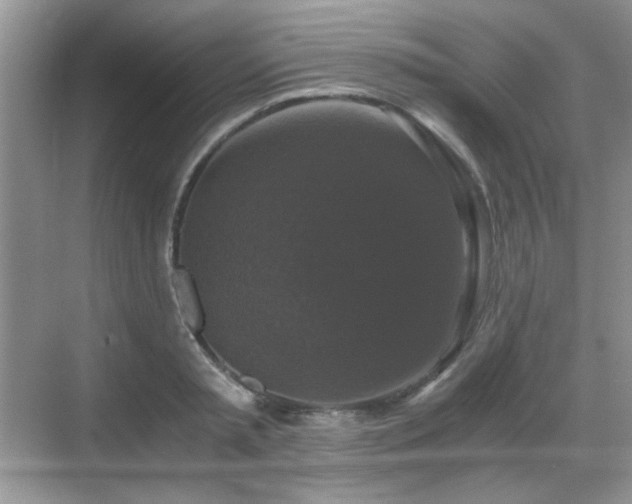 X0000068810797200605081118