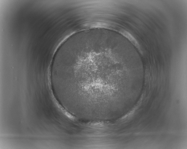 X0000068810798200605081118