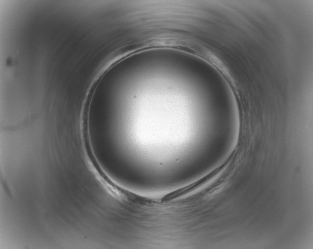 X0000068810803200605081118