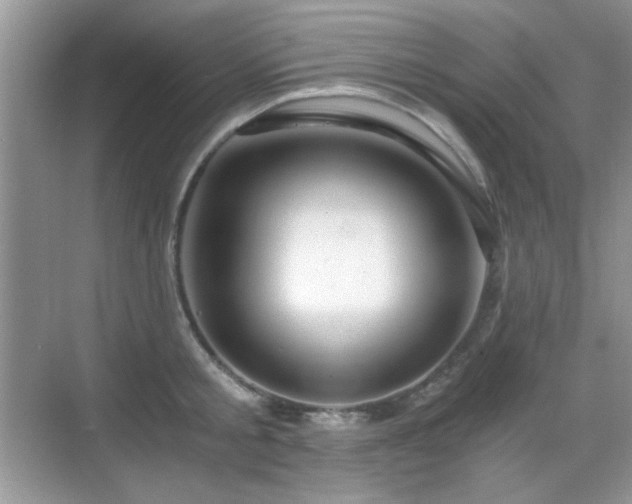 X0000068810805200605081118