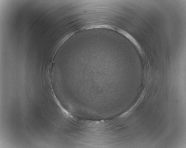 X0000068810809200605081118