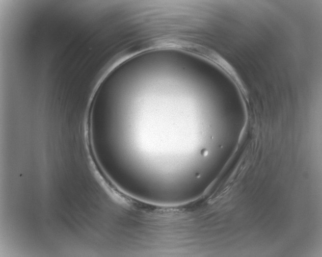 X0000068810811200605081118