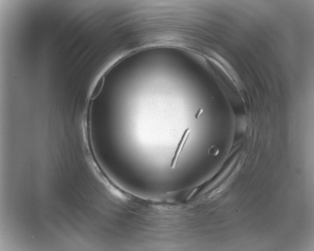 X0000068810812200605081118