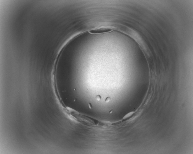 X0000068810814200605081118