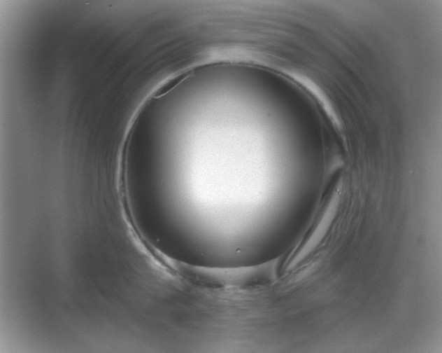 X0000068810815200605081118