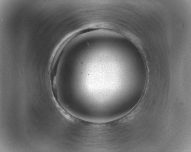 X0000068810816200605081118