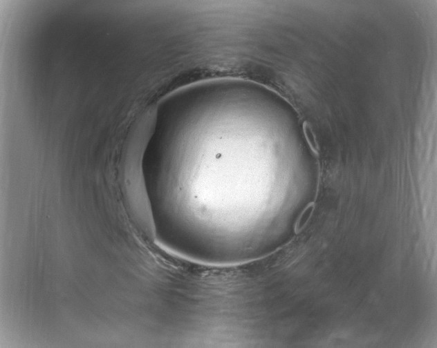 X0000068810817200605081117