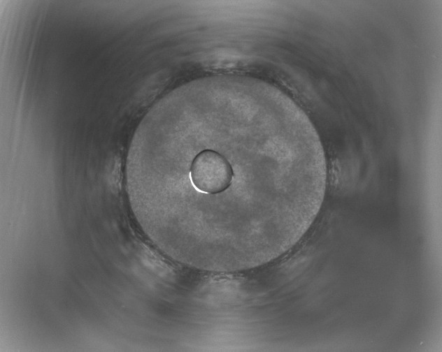 X0000068810820200605081117