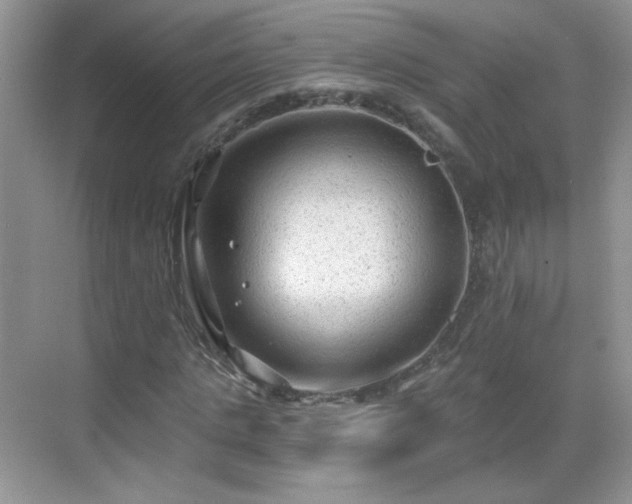 X0000068810821200605081117