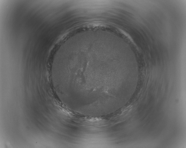 X0000068810823200605081117