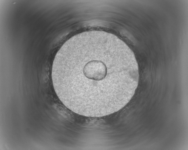 X0000068810824200605081117