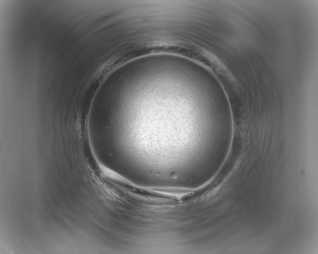 X0000068810825200605081117